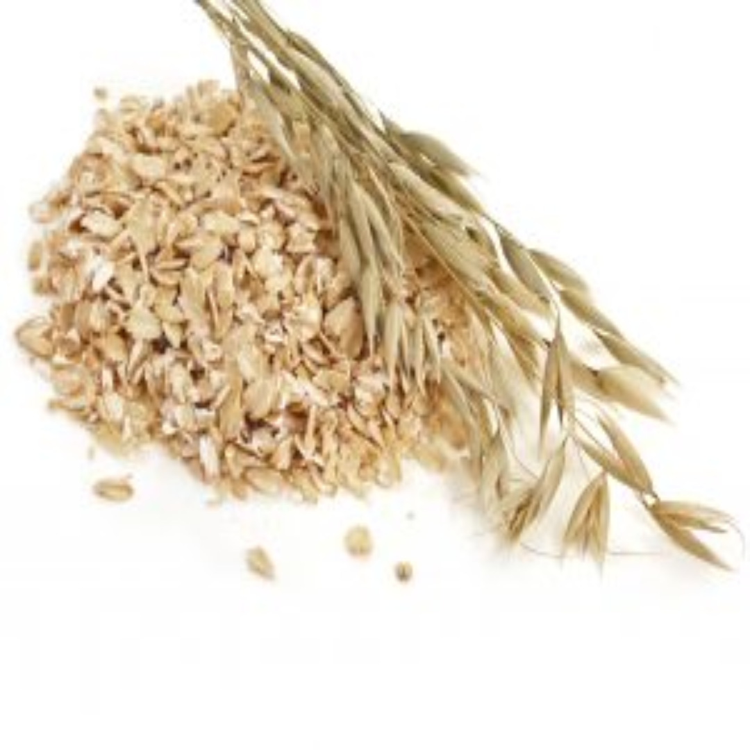 Wholesale Raw Oats Newly Harvested in UAE